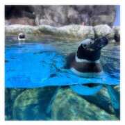 ヒメ日記 2025/09/05 19:49 投稿 そら★高リピ◎女子アナ系美女★ Bell～S級美女お姉様・人妻デリヘル～