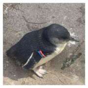 ヒメ日記 2025/09/17 20:15 投稿 そら★高リピ◎女子アナ系美女★ Bell～S級美女お姉様・人妻デリヘル～