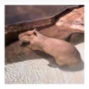 ヒメ日記 2025/10/01 19:37 投稿 そら★高リピ◎女子アナ系美女★ Bell～S級美女お姉様・人妻デリヘル～