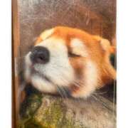 ヒメ日記 2025/10/02 19:59 投稿 そら★高リピ◎女子アナ系美女★ Bell～S級美女お姉様・人妻デリヘル～