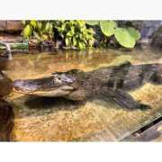 ヒメ日記 2025/10/03 19:49 投稿 そら★高リピ◎女子アナ系美女★ Bell～S級美女お姉様・人妻デリヘル～