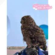 ヒメ日記 2025/10/04 20:56 投稿 そら★高リピ◎女子アナ系美女★ Bell～S級美女お姉様・人妻デリヘル～