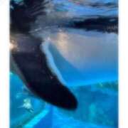 ヒメ日記 2025/10/05 09:07 投稿 そら★高リピ◎女子アナ系美女★ Bell～S級美女お姉様・人妻デリヘル～