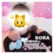 ヒメ日記 2025/10/06 08:35 投稿 そら★高リピ◎女子アナ系美女★ Bell～S級美女お姉様・人妻デリヘル～