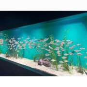 ヒメ日記 2025/10/07 20:07 投稿 そら★高リピ◎女子アナ系美女★ Bell～S級美女お姉様・人妻デリヘル～