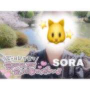 ヒメ日記 2025/10/08 08:33 投稿 そら★高リピ◎女子アナ系美女★ Bell～S級美女お姉様・人妻デリヘル～