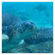 ヒメ日記 2025/10/23 22:05 投稿 そら★高リピ◎女子アナ系美女★ Bell～S級美女お姉様・人妻デリヘル～