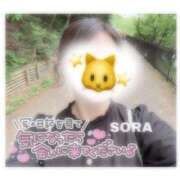 ヒメ日記 2025/11/08 08:04 投稿 そら★高リピ◎女子アナ系美女★ Bell～S級美女お姉様・人妻デリヘル～