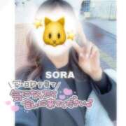 ヒメ日記 2025/11/26 20:51 投稿 そら★高リピ◎女子アナ系美女★ Bell～S級美女お姉様・人妻デリヘル～