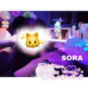 ヒメ日記 2025/12/11 10:34 投稿 そら★高リピ◎女子アナ系美女★ Bell～S級美女お姉様・人妻デリヘル～