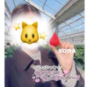 ヒメ日記 2026/01/09 20:04 投稿 そら★高リピ◎女子アナ系美女★ Bell～S級美女お姉様・人妻デリヘル～