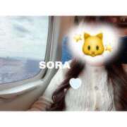 そら★高リピ◎女子アナ系美女★ 完 🩷 Bell～S級美女お姉様・人妻デリヘル～