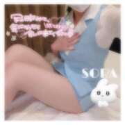 そら★高リピ◎女子アナ系美女★ 新年🎍 Bell～S級美女お姉様・人妻デリヘル～