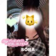 そら★高リピ◎女子アナ系美女★ このあと~！！ Bell～S級美女お姉様・人妻デリヘル～