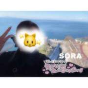 ヒメ日記 2026/01/20 19:36 投稿 そら★高リピ◎女子アナ系美女★ Bell～S級美女お姉様・人妻デリヘル～