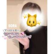 ヒメ日記 2026/01/22 20:17 投稿 そら★高リピ◎女子アナ系美女★ Bell～S級美女お姉様・人妻デリヘル～