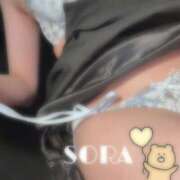 ヒメ日記 2026/01/22 21:08 投稿 そら★高リピ◎女子アナ系美女★ Bell～S級美女お姉様・人妻デリヘル～