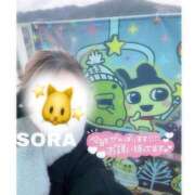 ヒメ日記 2026/01/22 21:39 投稿 そら★高リピ◎女子アナ系美女★ Bell～S級美女お姉様・人妻デリヘル～