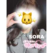 ヒメ日記 2026/01/22 22:11 投稿 そら★高リピ◎女子アナ系美女★ Bell～S級美女お姉様・人妻デリヘル～