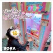 ヒメ日記 2026/01/25 20:22 投稿 そら★高リピ◎女子アナ系美女★ Bell～S級美女お姉様・人妻デリヘル～