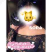 ヒメ日記 2026/01/25 20:51 投稿 そら★高リピ◎女子アナ系美女★ Bell～S級美女お姉様・人妻デリヘル～