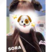 ヒメ日記 2026/01/25 22:09 投稿 そら★高リピ◎女子アナ系美女★ Bell～S級美女お姉様・人妻デリヘル～