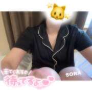 ヒメ日記 2026/01/26 09:18 投稿 そら★高リピ◎女子アナ系美女★ Bell～S級美女お姉様・人妻デリヘル～