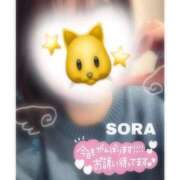 ヒメ日記 2026/01/27 20:13 投稿 そら★高リピ◎女子アナ系美女★ Bell～S級美女お姉様・人妻デリヘル～