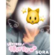 ヒメ日記 2026/01/27 22:05 投稿 そら★高リピ◎女子アナ系美女★ Bell～S級美女お姉様・人妻デリヘル～