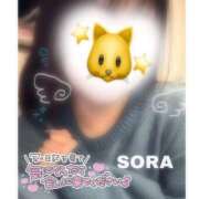 ヒメ日記 2026/01/28 08:08 投稿 そら★高リピ◎女子アナ系美女★ Bell～S級美女お姉様・人妻デリヘル～