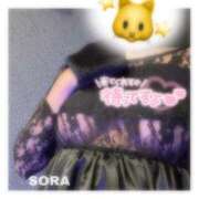 ヒメ日記 2026/02/24 20:54 投稿 そら★高リピ◎女子アナ系美女★ Bell～S級美女お姉様・人妻デリヘル～