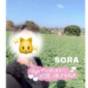 ヒメ日記 2026/02/26 22:15 投稿 そら★高リピ◎女子アナ系美女★ Bell～S級美女お姉様・人妻デリヘル～