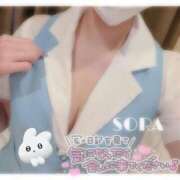 ヒメ日記 2026/02/27 18:25 投稿 そら★高リピ◎女子アナ系美女★ Bell～S級美女お姉様・人妻デリヘル～