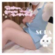 ヒメ日記 2026/02/27 22:13 投稿 そら★高リピ◎女子アナ系美女★ Bell～S級美女お姉様・人妻デリヘル～