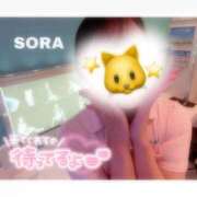 ヒメ日記 2026/03/03 22:19 投稿 そら★高リピ◎女子アナ系美女★ Bell～S級美女お姉様・人妻デリヘル～