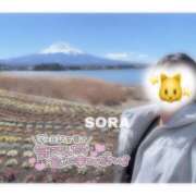 ヒメ日記 2026/03/19 18:20 投稿 そら★高リピ◎女子アナ系美女★ Bell～S級美女お姉様・人妻デリヘル～