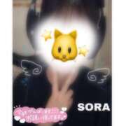 ヒメ日記 2026/03/28 21:15 投稿 そら★高リピ◎女子アナ系美女★ Bell～S級美女お姉様・人妻デリヘル～