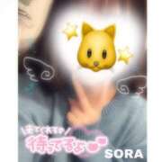 ヒメ日記 2026/03/29 21:07 投稿 そら★高リピ◎女子アナ系美女★ Bell～S級美女お姉様・人妻デリヘル～