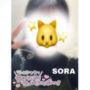 ヒメ日記 2026/04/02 18:42 投稿 そら★高リピ◎女子アナ系美女★ Bell～S級美女お姉様・人妻デリヘル～