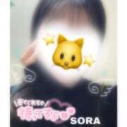 そら★高リピ◎女子アナ系美女★ ﾉﾝﾋﾞﾘ_(´˘｀_)⌒)_ Bell～S級美女お姉様・人妻デリヘル～