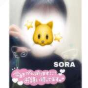 そら★高リピ◎女子アナ系美女★ このあと！ Bell～S級美女お姉様・人妻デリヘル～