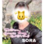 ヒメ日記 2026/04/04 17:56 投稿 そら★高リピ◎女子アナ系美女★ Bell～S級美女お姉様・人妻デリヘル～