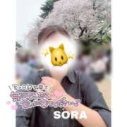 ヒメ日記 2026/04/11 18:36 投稿 そら★高リピ◎女子アナ系美女★ Bell～S級美女お姉様・人妻デリヘル～