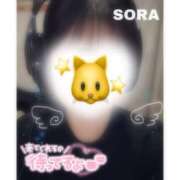 ヒメ日記 2026/04/17 19:20 投稿 そら★高リピ◎女子アナ系美女★ Bell～S級美女お姉様・人妻デリヘル～