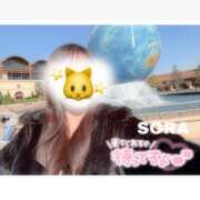 ヒメ日記 2026/04/20 20:47 投稿 そら★高リピ◎女子アナ系美女★ Bell～S級美女お姉様・人妻デリヘル～