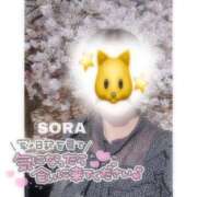 そら★高リピ◎女子アナ系美女★ 21日✨ Bell～S級美女お姉様・人妻デリヘル～