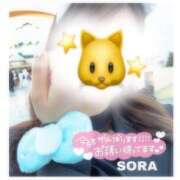 ヒメ日記 2026/04/22 18:14 投稿 そら★高リピ◎女子アナ系美女★ Bell～S級美女お姉様・人妻デリヘル～