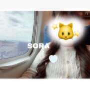 そら★高リピ◎女子アナ系美女★ 乗り物〜 Bell～S級美女お姉様・人妻デリヘル～