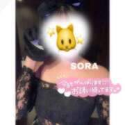 そら★高リピ◎女子アナ系美女★ このあと！ Bell～S級美女お姉様・人妻デリヘル～