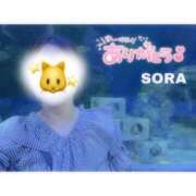 ヒメ日記 2026/07/14 22:19 投稿 そら★高リピ◎女子アナ系美女★ Bell～S級美女お姉様・人妻デリヘル～